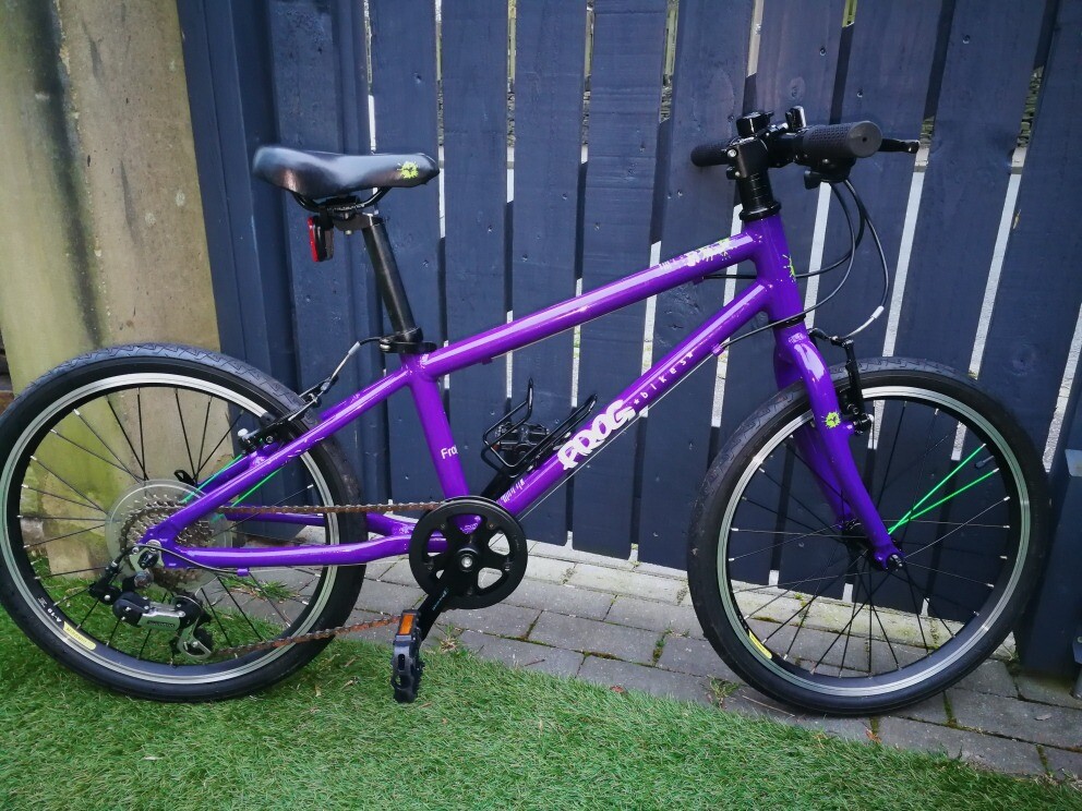 frog bike purple